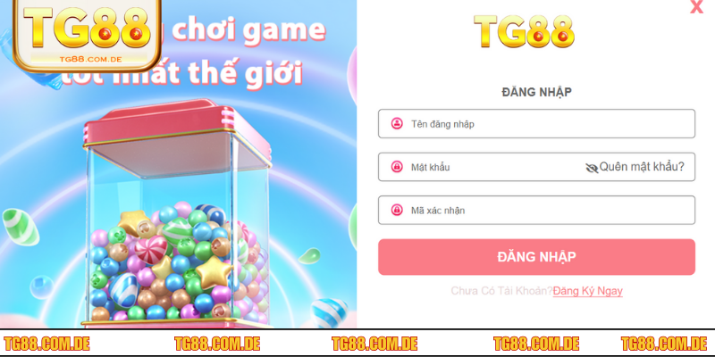 Các bước thao tác siêu đơn giản giúp newbie dễ thực hiện