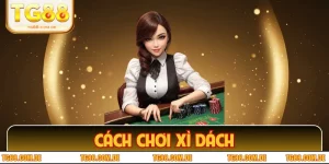 Cách Chơi Xì Dách - Hé Lộ Tuyệt Chiêu Nhận Thưởng Liên Hoàn 
