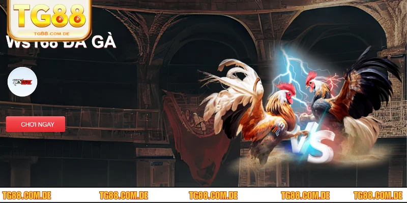 Cách khắc phục những lỗi mắc phải tại nhà cái