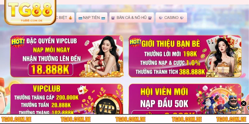 Chia sẻ 5 ưu đãi hot nhất khi tham gia cá cược tại nhà cái