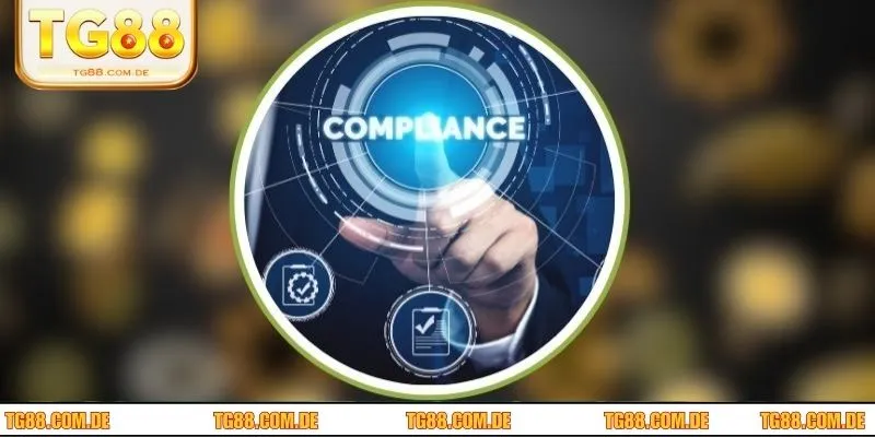 Điều Khoản Và Điều Kiện Tại TG88 Hội Viên Cần Nắm Năm 2025 Hội viên cần lưu ý khi tham khảo thông tin tại TG88