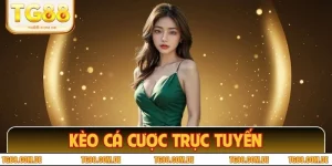 Kèo Cá Cược Trực Tuyến - Cẩm Nang Cơ Bản Cho Người Chơi