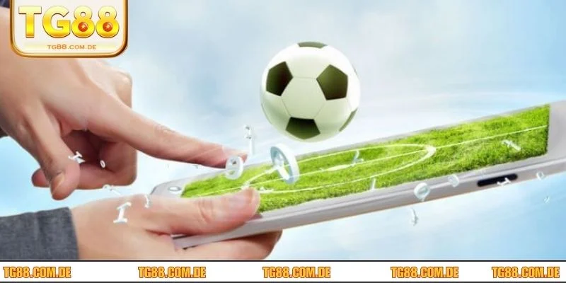 Kèo cá cược trực tuyến thường bị tác động bởi nhiều yếu tố khác nhau