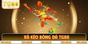 Xả Kèo Bóng Đá TG88 - Cách Tăng Lợi Nhuận Nhanh Chóng